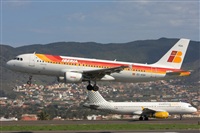 Ayoze Santana Mendez - Canary Islands Spotting. Click to see full size photo