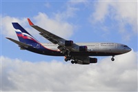 Miguel A. gueda Rguez.  (CANARY ISLANDS SPOTTING). Haz click para ampliar