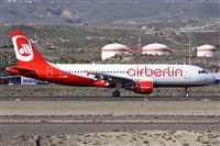 ©Alfonso Solís - Asociación Canary Islands Spotting. Click to see full size photo ©Alfonso Solís - Asociación Canary Islands Spotting. Click to see full size photo