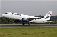 Javier de la Cruz - CANARY ISLANDS SPOTTING. Click to see full size photo