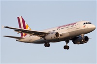 Miguel Alia - Noisy Spotters. Click to see full size photo