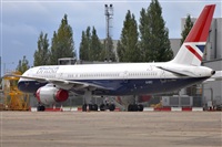 Rubn Gil - Noisy Spotters. Click to see full size photo