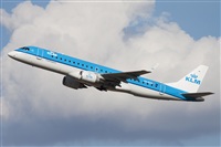Miguel Alia - Noisy Spotters. Click to see full size photo