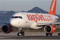 Miguel Alia - Noisy Spotters. Click to see full size photo