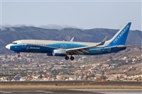 Javier de la Cruz - CANARY ISLANDS SPOTTING. Click to see full size photo