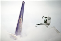 Javier de la Cruz - CANARY ISLANDS SPOTTING. Haz click para ampliar
