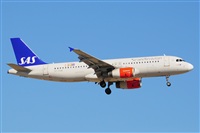 Miguel A. gueda Rguez.  (CANARY ISLANDS SPOTTING). Click to see full size photo