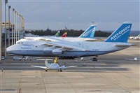 ©Adolfo Bento - Gran Canaria Spotters. Click to see full size photo ©Adolfo Bento - Gran Canaria Spotters. Click to see full size photo