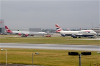 Miguel A. gueda Rguez.  (CANARY ISLANDS SPOTTING). Click to see full size photo