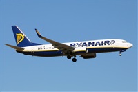 Nacho Rodriguez - Canary Islands Spotting. Click to see full size photo