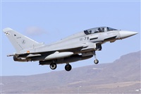 Paco Muoz Arencibia - Gran Canaria Spotters. Click to see full size photo