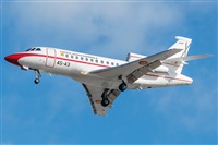 ©Adolfo Bento - Gran Canaria Spotters. Click to see full size photo ©Adolfo Bento - Gran Canaria Spotters. Click to see full size photo