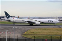 Miguel A. gueda Rguez.  (CANARY ISLANDS SPOTTING). Click to see full size photo