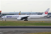 Miguel A. gueda Rguez.  (CANARY ISLANDS SPOTTING). Click to see full size photo