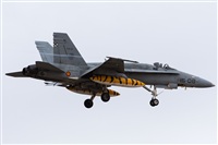 David Manuel Tobarra Ruiz - Spotters Murcia. Click to see full size photo