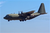 Bartolom Fernndez - Gran Canaria Spotters. Click to see full size photo