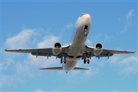 Miguel A. gueda Rguez.  (CANARY ISLANDS SPOTTING). Click to see full size photo