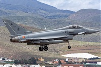 Bartolom Fernndez - Gran Canaria Spotters. Click to see full size photo