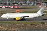 ©Alfonso Solís - Asociación Canary Islands Spotting. Click to see full size photo ©Alfonso Solís - Asociación Canary Islands Spotting. Click to see full size photo