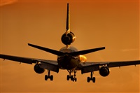 Javier de la Cruz - CANARY ISLANDS SPOTTING. Click to see full size photo