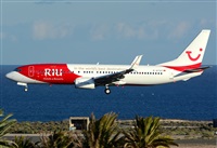 Alejandro H.L - Gran Canaria Spotters. Click to see full size photo