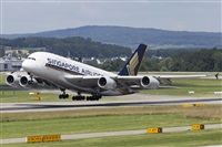 Rubn Gil - Noisy Spotters. Click to see full size photo