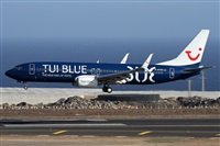 Alfonso Sols - Asociacin Canary Islands Spotting. Click to see full size photo