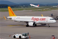 Miguel A. gueda Rguez.  (CANARY ISLANDS SPOTTING). Click to see full size photo