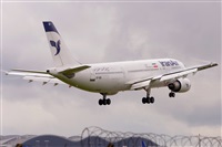 Miguel A. gueda Rguez.  (CANARY ISLANDS SPOTTING). Click to see full size photo