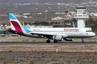 ©Alfonso Solís - Asociación Canary Islands Spotting. Click to see full size photo ©Alfonso Solís - Asociación Canary Islands Spotting. Click to see full size photo