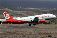 ©Alfonso Solís - Asociación Canary Islands Spotting. Click to see full size photo ©Alfonso Solís - Asociación Canary Islands Spotting. Click to see full size photo