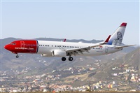 ©Daniel Santos Batista - Canary Islands Spotting. Click to see full size photo ©Daniel Santos Batista - Canary Islands Spotting. Click to see full size photo