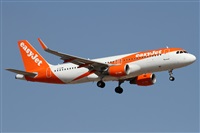 Alfonso Sols - Asociacin Canary Islands Spotting. Haz click para ampliar