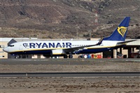Alfonso Sols - Asociacin Canary Islands Spotting. Haz click para ampliar