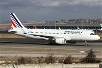 ©Alfonso Solís - Asociación Canary Islands Spotting. Click to see full size photo ©Alfonso Solís - Asociación Canary Islands Spotting. Click to see full size photo