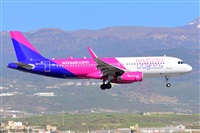 Miguel A. gueda Rguez.  (CANARY ISLANDS SPOTTING). Click to see full size photo