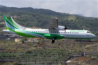 Luis Rguez - La Palma Spotting. Haz click para ampliar