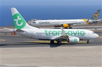Miguel A. gueda Rguez.  (CANARY ISLANDS SPOTTING). Click to see full size photo