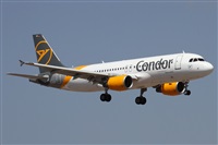 Alfonso Sols - Asociacin Canary Islands Spotting. Haz click para ampliar
