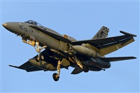 EC-ISM. Click to see full size photo