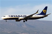 Alfonso Sols - Asociacin Canary Islands Spotting. Haz click para ampliar