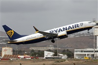 Adrin Alonso Lemes - Lanzarote Spotters. Haz click para ampliar