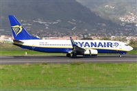 Miguel A. gueda Rguez.  (CANARY ISLANDS SPOTTING). Click to see full size photo