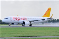 Miguel A. gueda Rguez.  (CANARY ISLANDS SPOTTING). Click to see full size photo