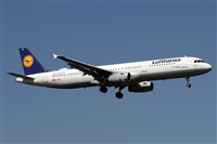 Alfonso Sols - Asociacin Canary Islands Spotting. Haz click para ampliar