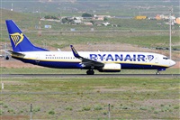 Miguel A. gueda Rguez.  (CANARY ISLANDS SPOTTING). Click to see full size photo