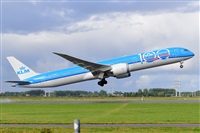 Miguel A. gueda Rguez.  (CANARY ISLANDS SPOTTING). Haz click para ampliar