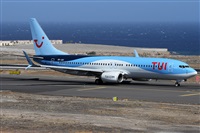 Alfonso Sols - Asociacin Canary Islands Spotting. Click to see full size photo