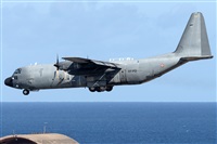 ©Adolfo Bento - Gran Canaria Spotters. Click to see full size photo ©Adolfo Bento - Gran Canaria Spotters. Click to see full size photo