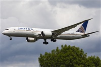 ©Román A. Pérez. Click to see full size photo ©Román A. Pérez. Click to see full size photo